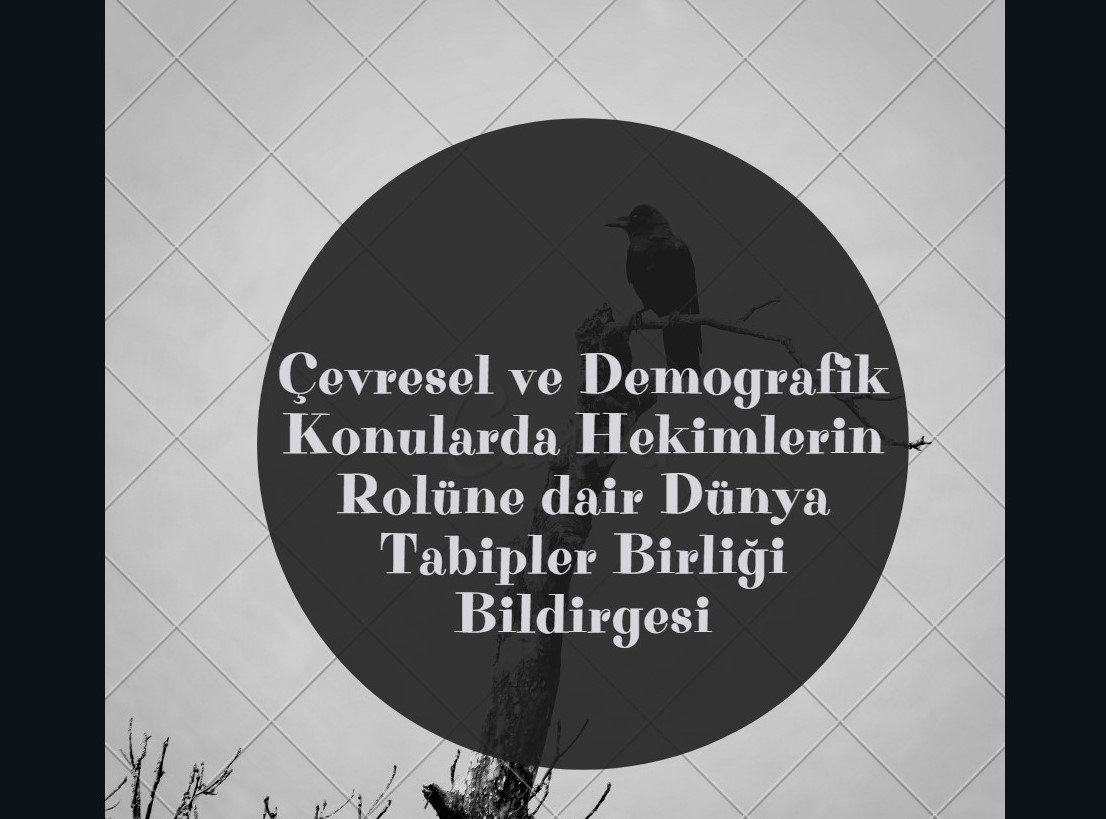 Çevresel ve Demografik Konularda Hekimlerin Rolü