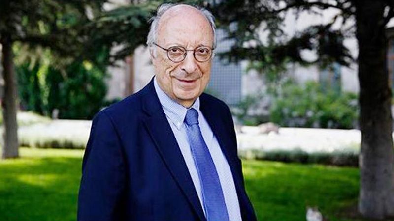 rıza türmen